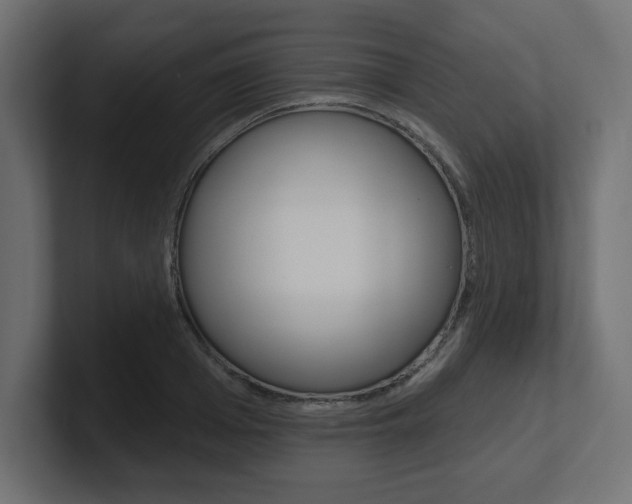 X0000101090985200806261058