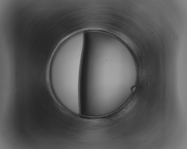 X0000101090988200806261058