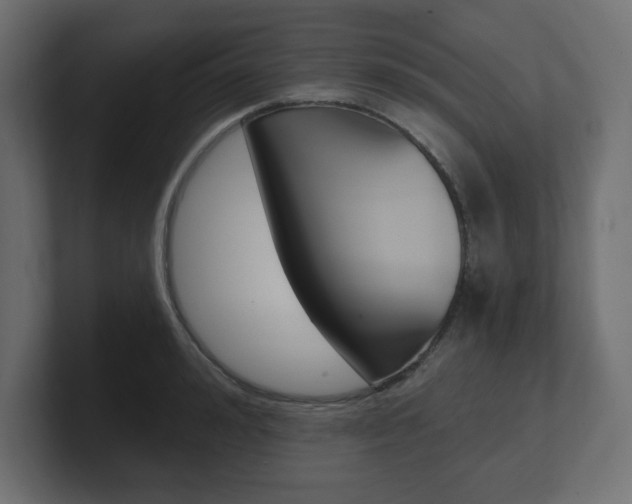 X0000101090992200806261058
