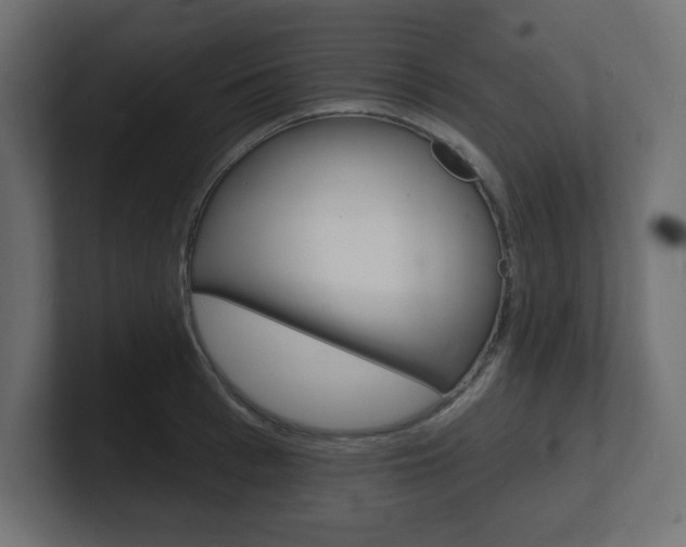 X0000101090993200806261058
