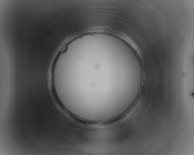 X0000101090994200806261058