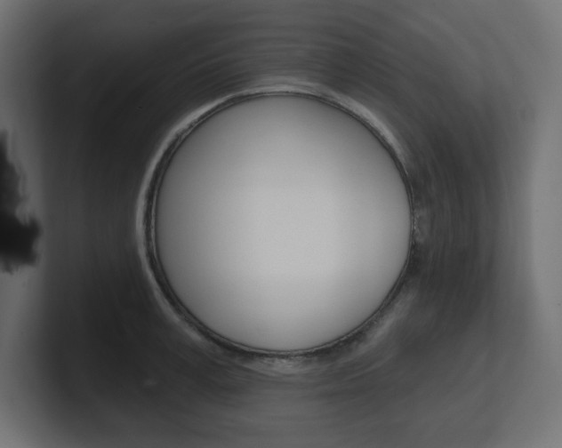 X0000101090995200806261058