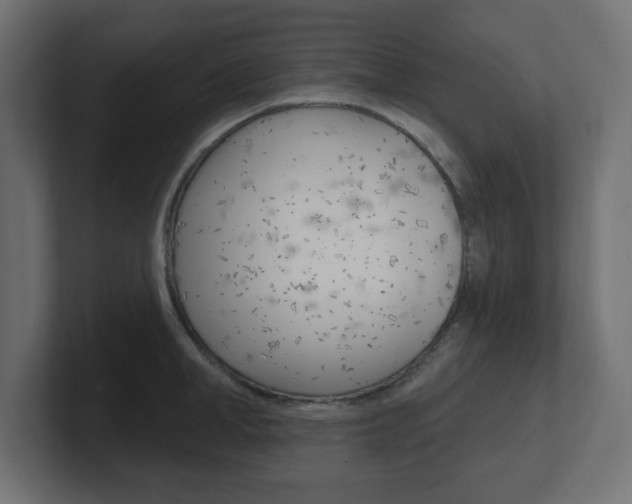 X0000101090998200806261058