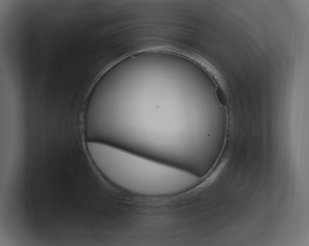 X0000101091001200806261058