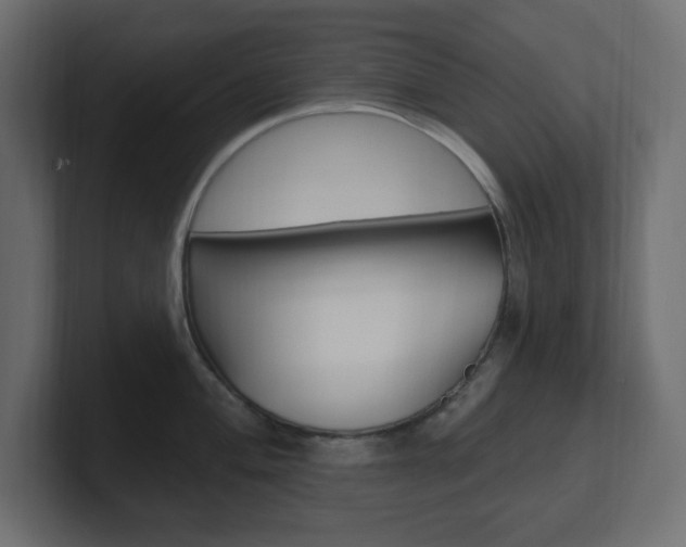 X0000101091004200806261058