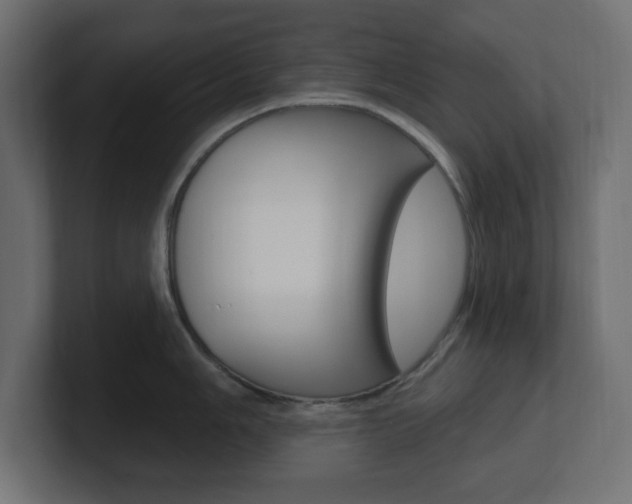 X0000101091006200806261058