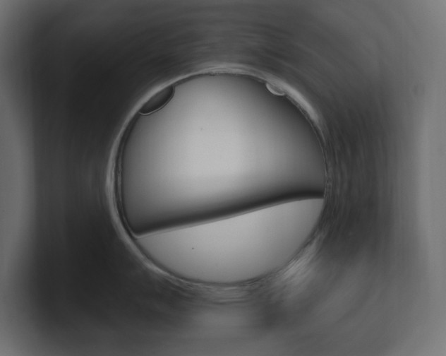 X0000101091007200806261058