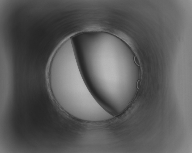 X0000101091008200806261058