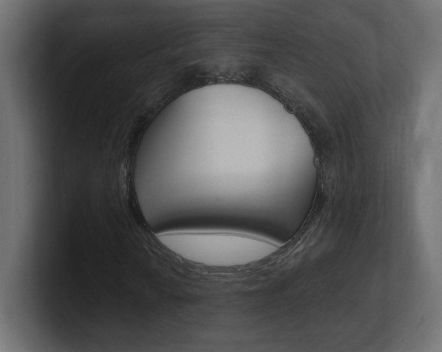 X0000101091010200806261057
