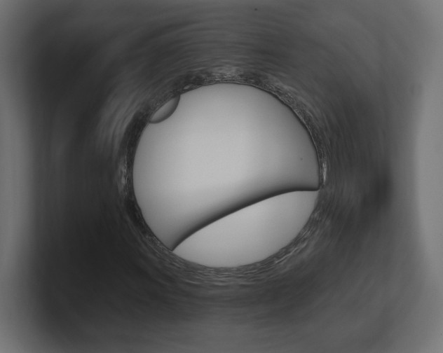 X0000101091011200806261057