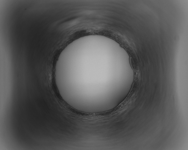 X0000101091012200806261057
