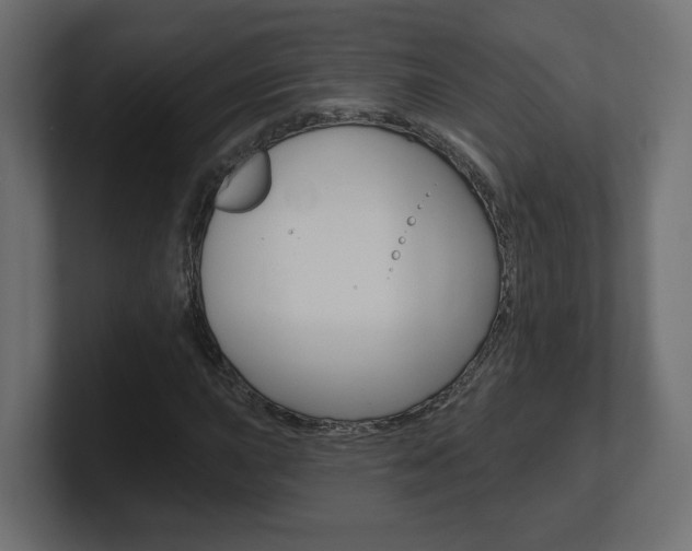 X0000101091015200806261058