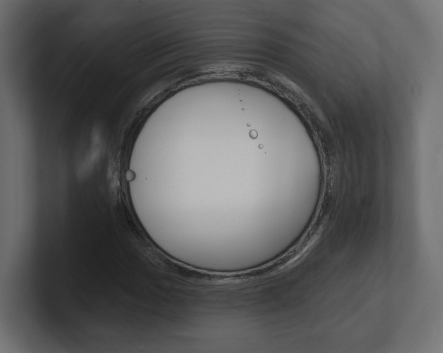 X0000101091017200806261058