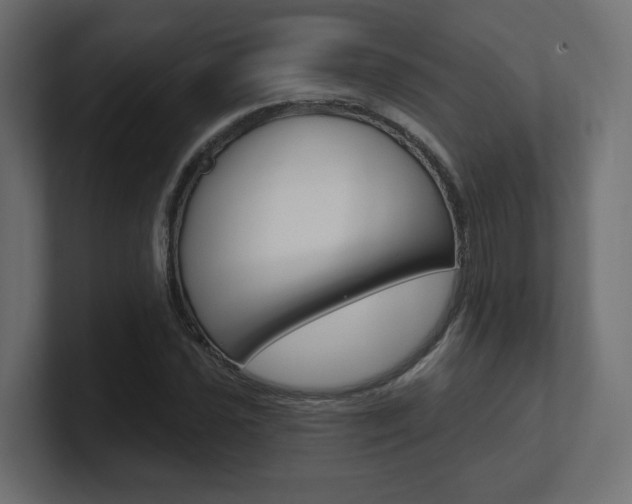 X0000101091021200806261058