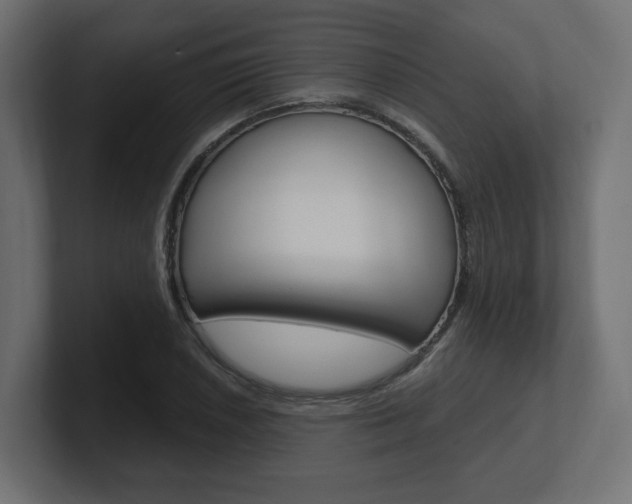 X0000101091026200806261058