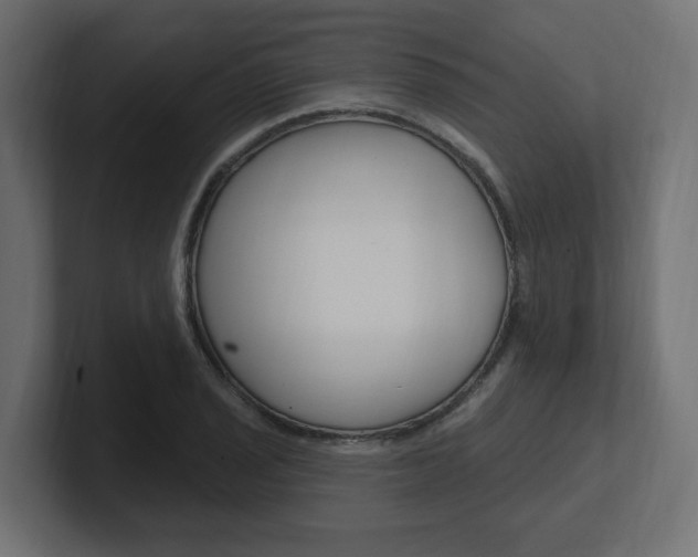 X0000101091029200806261058