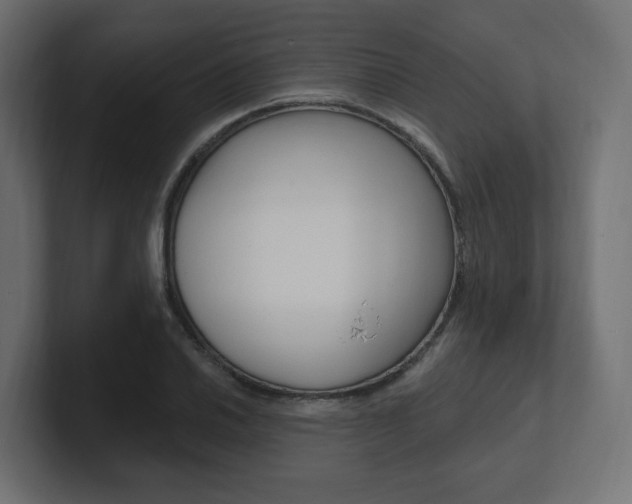 X0000101091030200806261058