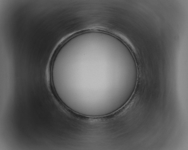 X0000101091032200806261058