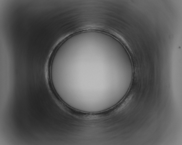 X0000101091034200806261058