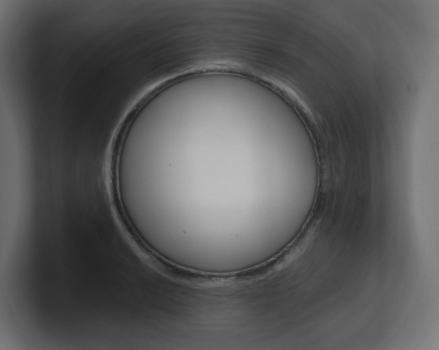 X0000101091038200806261058