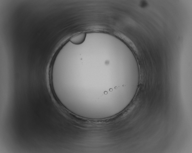X0000101091039200806261058