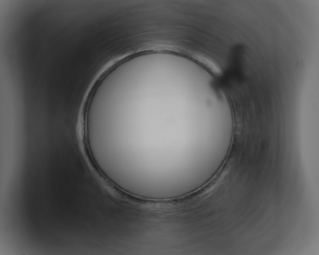 X0000101091040200806261058