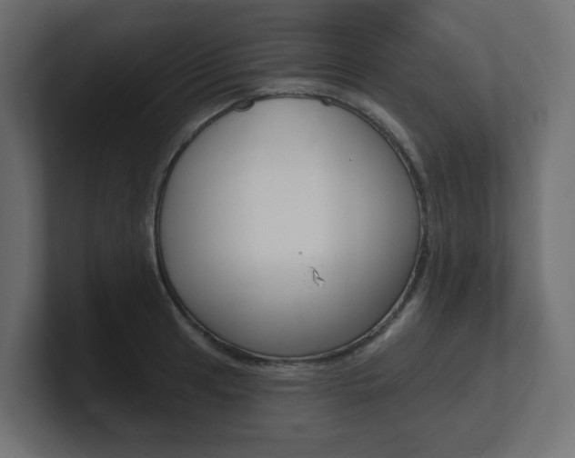 X0000101091041200806261058