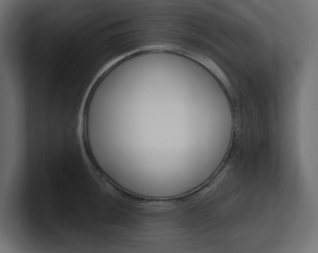 X0000101091044200806261058