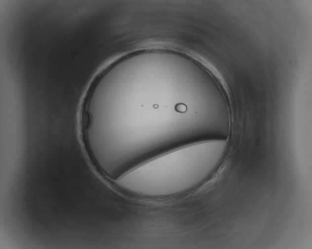 X0000101091045200806261058