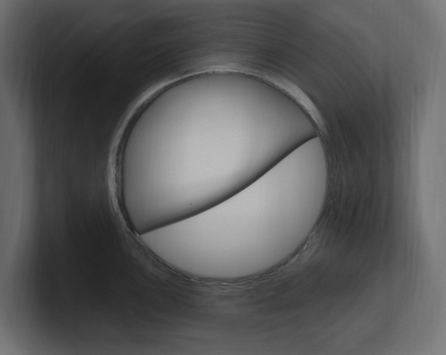 X0000101091051200806261058