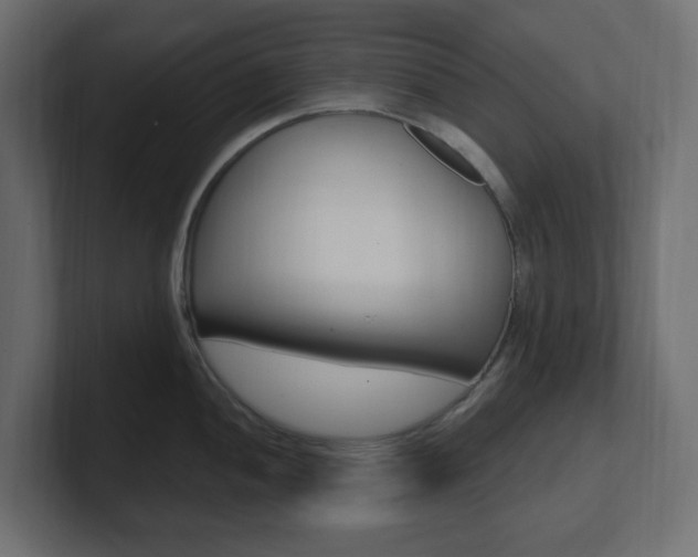 X0000101091052200806261058