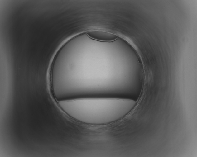 X0000101091056200806261058