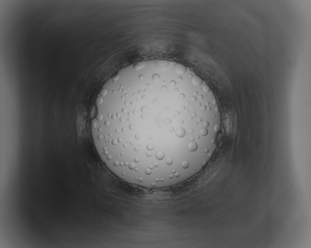 X0000101091059200806261057
