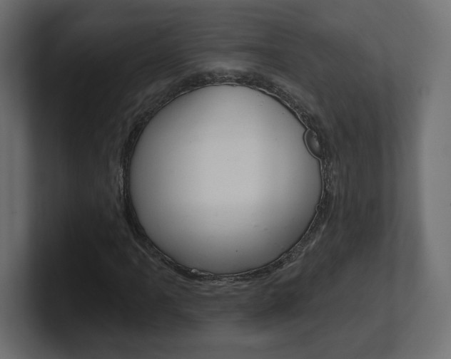 X0000101091061200806261057