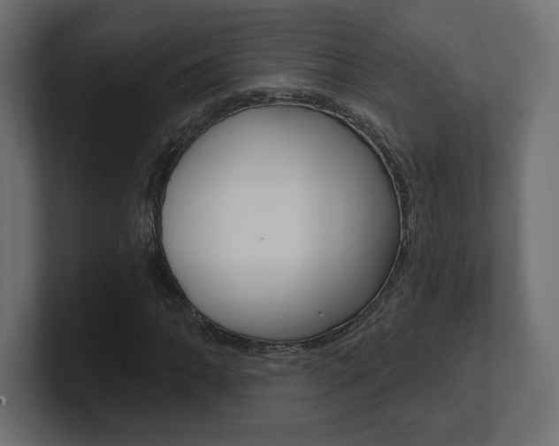 X0000101091062200806261057