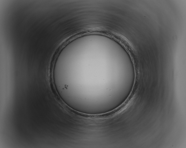 X0000101091065200806261057