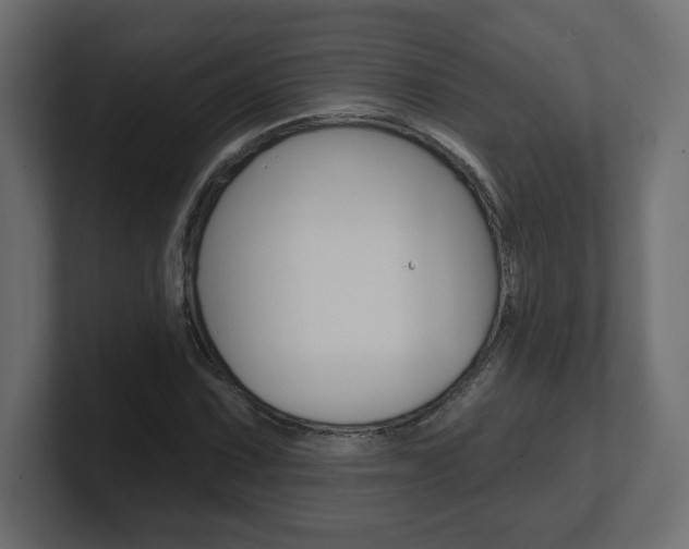 X0000101091067200806261057