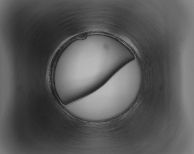 X0000101091068200806261057