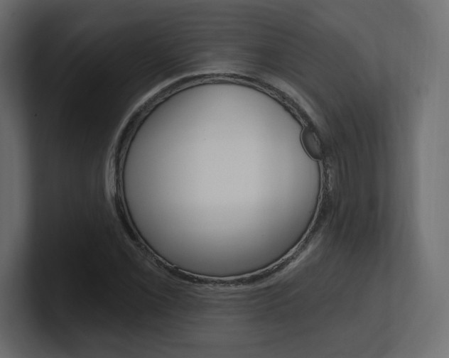 X0000101091069200806261057