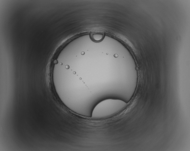 X0000101091071200806261057