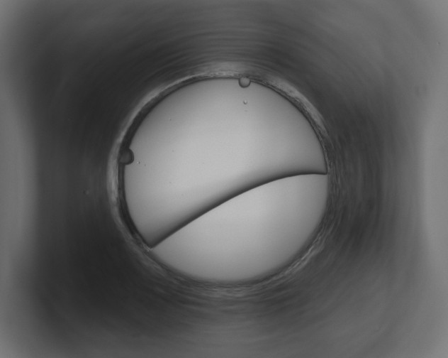 X0000101091083200806261057