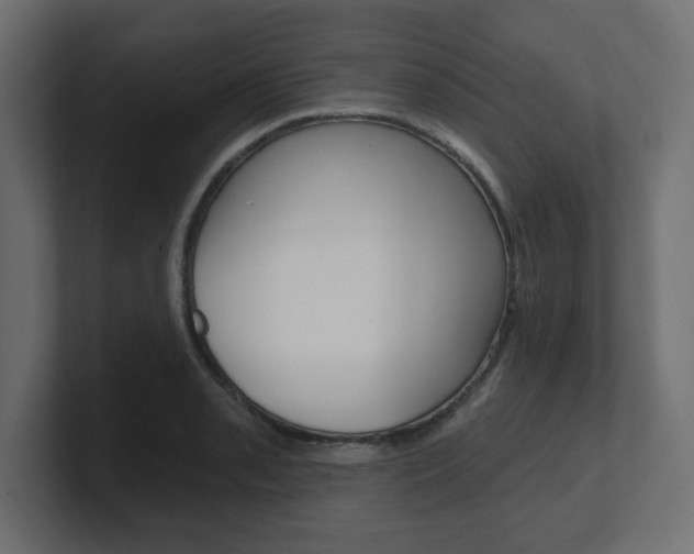X0000101091085200806261057