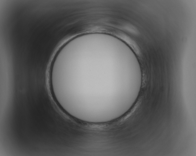 X0000101091086200806261057