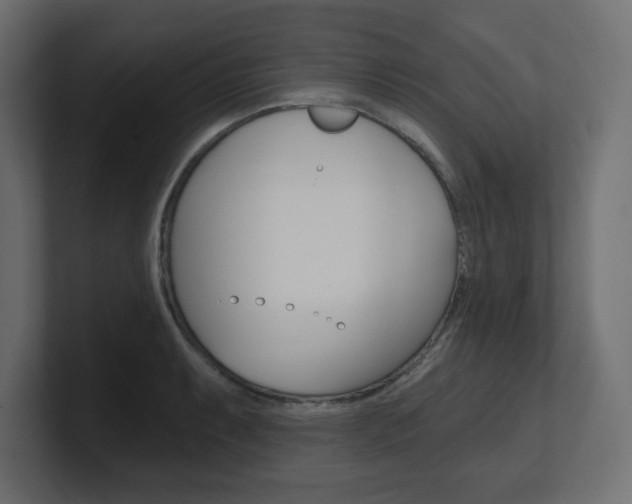 X0000101091087200806261057