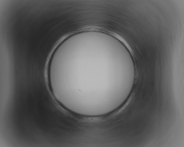 X0000101091090200806261057