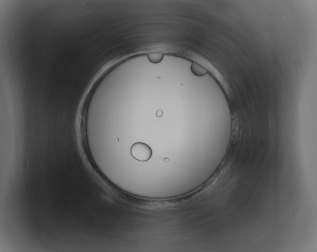 X0000101091091200806261057