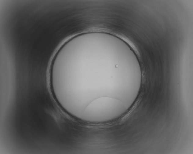 X0000101091094200806261057