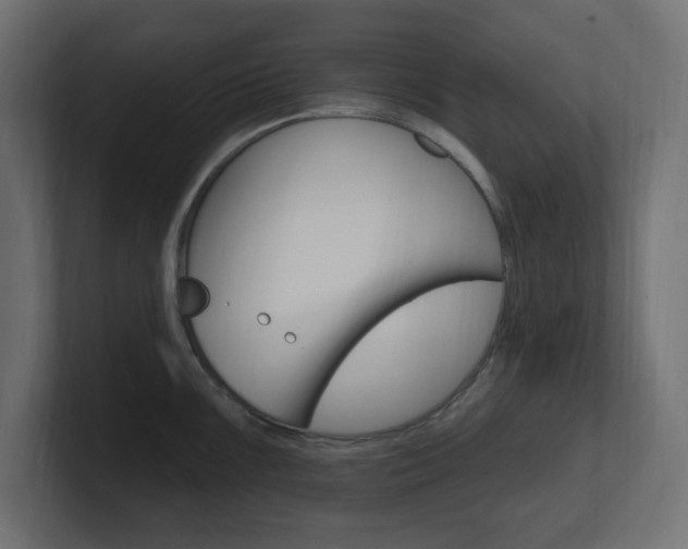 X0000101091099200806261057