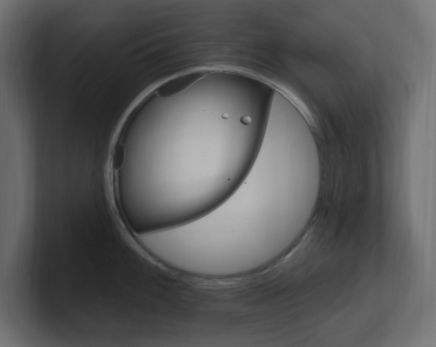 X0000101091100200806261057