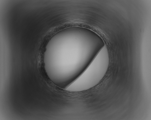 X0000101091110200806261056